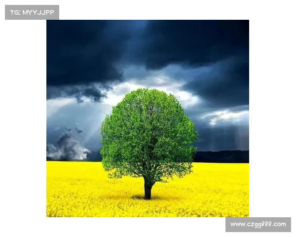 大自然中的五彩奇观探秘，揭开色彩背后的奥秘与奇妙世界