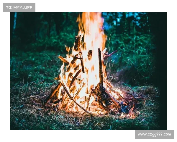 体验烈焰激情的六大挑战,点燃你内心的冒险之火 体验烈焰激情的六大挑战,点燃你内心的冒险之火