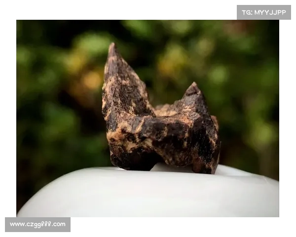 灌香糖制作工艺与其文化传承价值的深度探讨与研究 灌香糖制作工艺与其文化传承价值的深度探讨与研究