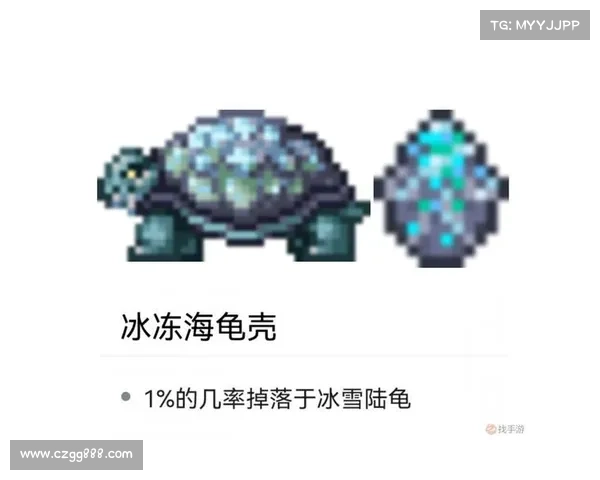 元素萨满输出循环提升全方位技巧解析与实战策略分享 元素萨满输出循环提升全方位技巧解析与实战策略分享