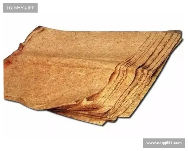 兵俑作为中华文化象征的历史深意与文化传承探讨