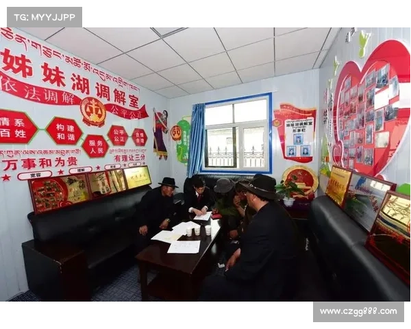 重塑高原地区社会服务体系推动可持续发展与公平保障的愿景与使命