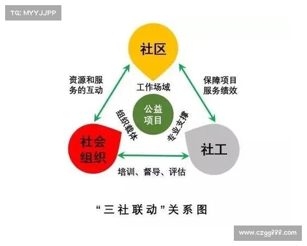 高原地区社工服务实施路径与挑战应对策略探析
