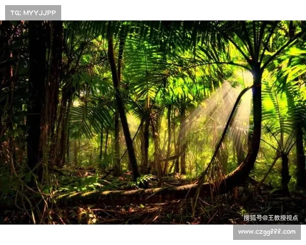 辛多雷宝珠的传奇背后：从历史传说到无尽力量的奥秘揭示