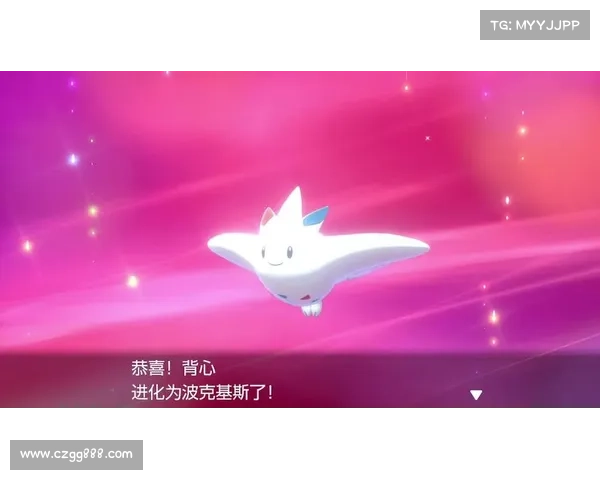 如何了解波克比的逐步进化过程及其每个阶段的特点和变化