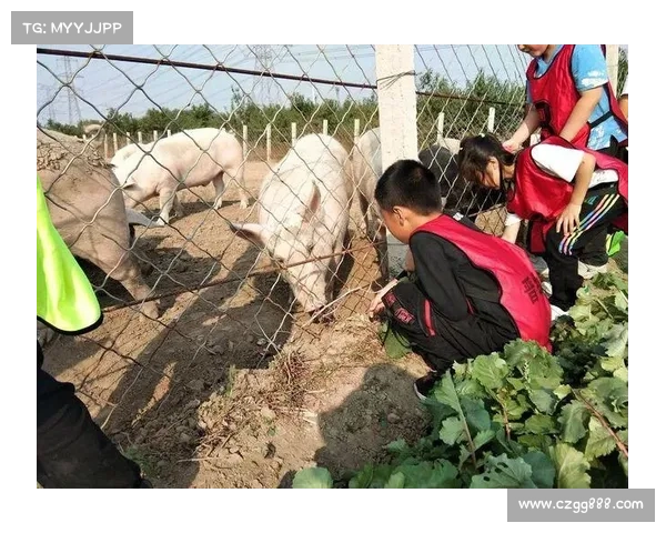 鹤观岛探索:五大特色精彩纷呈 鹤观岛探索:五大特色精彩纷呈