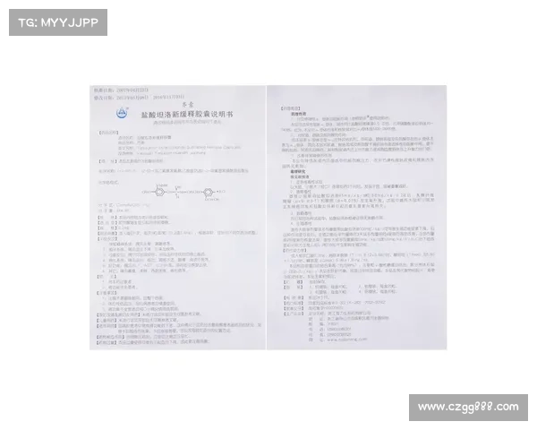 全面剖析洛塞尔索技术特点与战术价值的多维深度综合评价研究解读