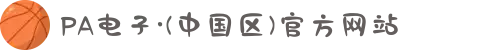 PA电子·(中国区)官方网站